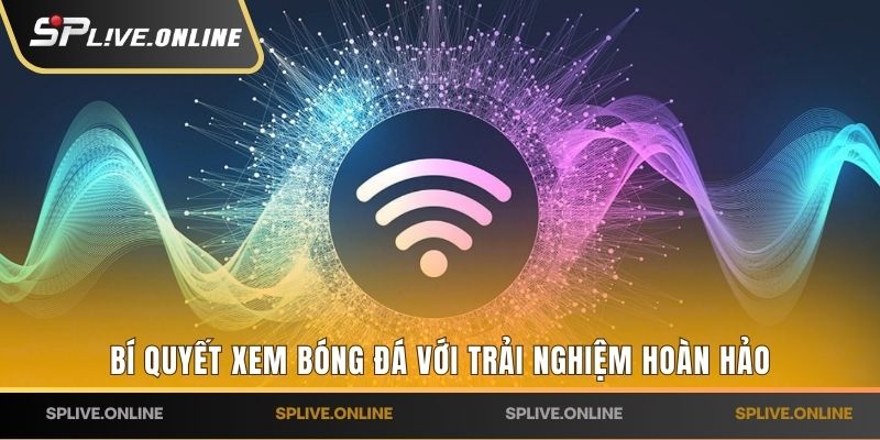 Bí quyết xem bóng đá với trải nghiệm hoàn hảo