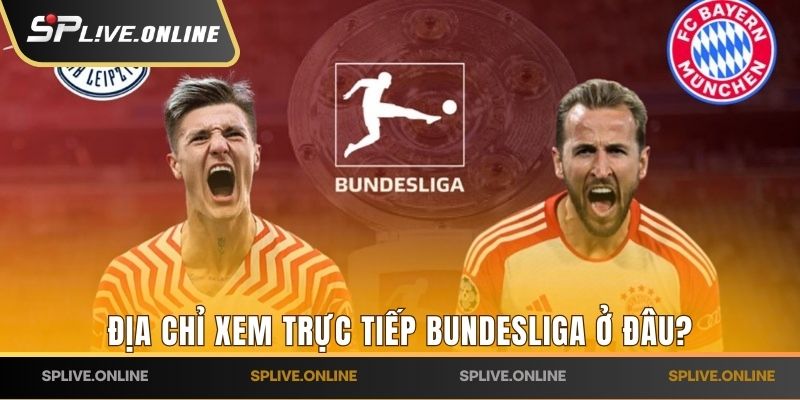 Địa chỉ xem trực tiếp Bundesliga ở đâu?
