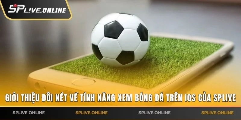Giới thiệu đôi nét về tính năng xem bóng đá trên iOS của SPLIVE