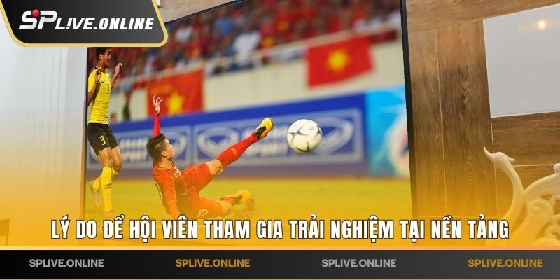 Lý do để hội viên tham gia trải nghiệm tại nền tảng