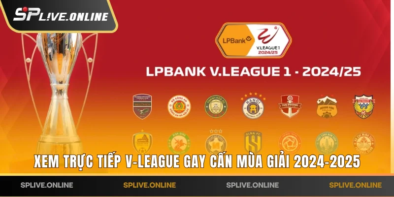 Xem trực tiếp V-League gay cấn mùa giải 2024-2025